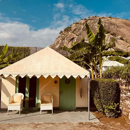 The Rawla Narlai - A Luxury Heritage Stay In Leopard Country Екстер'єр фото